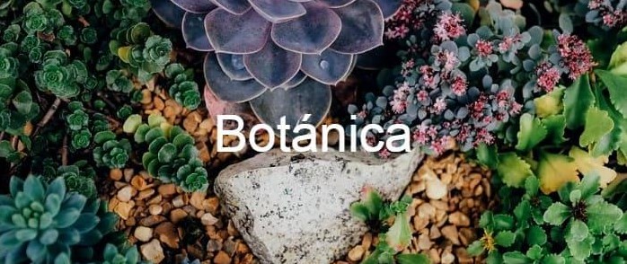 Botánica General