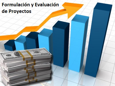 Formulación y Evaluación de Proyectos 