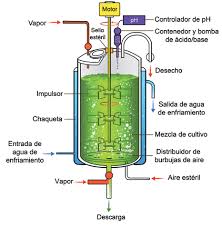 Diseño de Biorreactores.